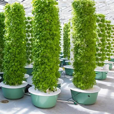 Hydroponic System - Aeroponische Turm-Gartensysteme mit Beleuchtung für 60