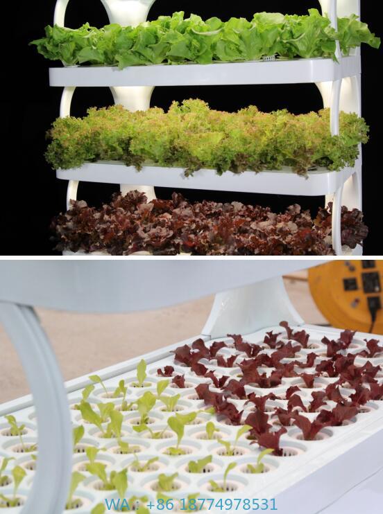 Hydroponic System - System-Blumentopf-Pflanzer, hydroponisches Pflanzenwachstum im Innenbereich