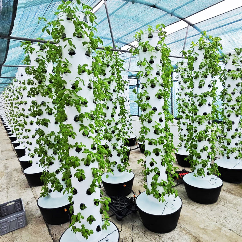 Hydroponic System - Hochwertiges, einfach zu installierendes, kleines vertikales