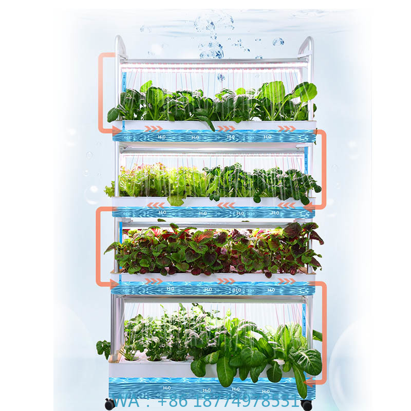 Hydroponic System - ydroponic Pflanzungssystem Smart Home Automation System