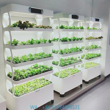 Hydroponic System - Hydroponisches automatisches Wachstumssystem, intelligentes hydroponisches Wachstumssystem,