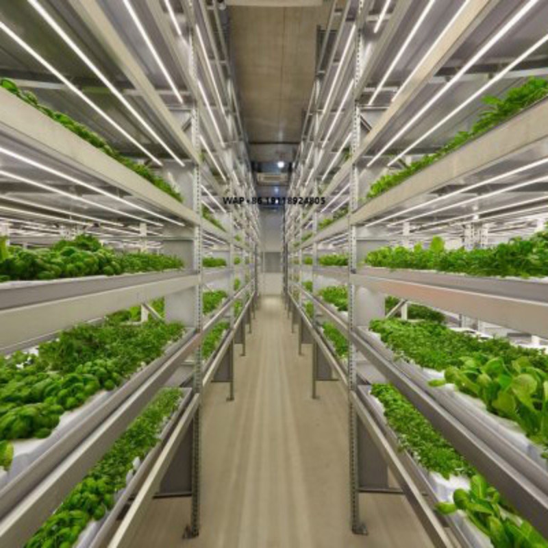 Hydroponic System - Großes Smart Farm Versandcontainer-Vertikalfarm-Hydroponik-Anbausystem mit Klimaregelung