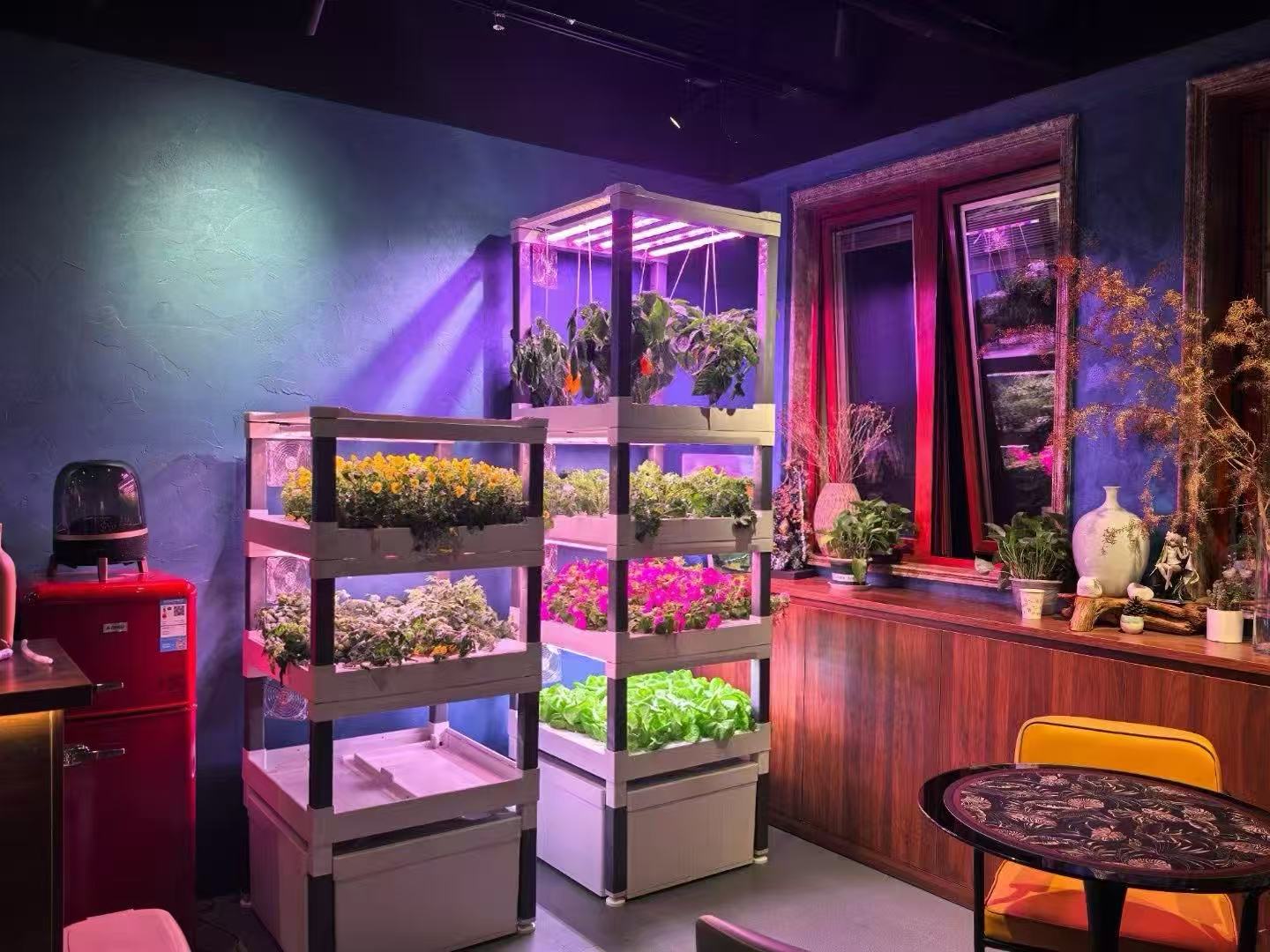 Neues Automatisches Vertikales – Hydroponic System Bewertung und Preis