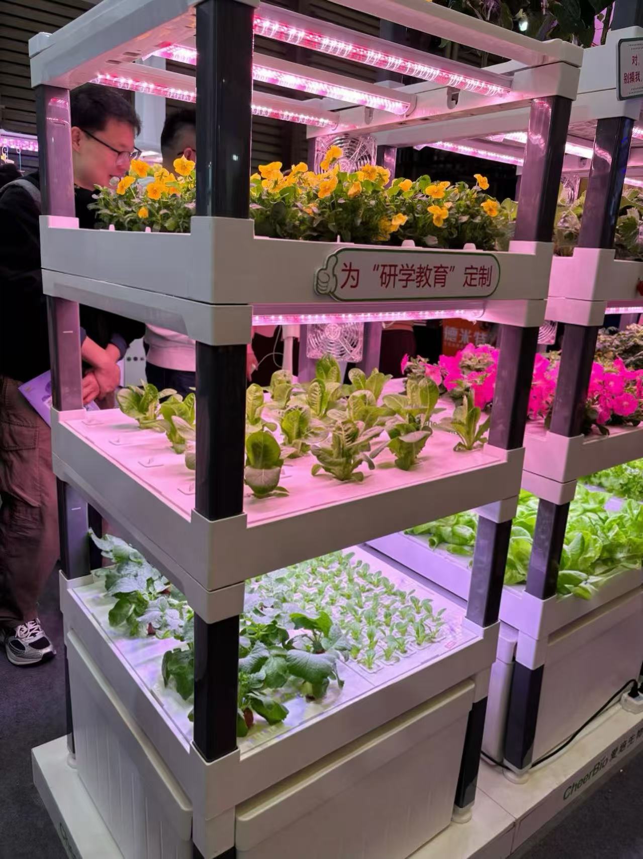 Neues Automatisches Vertikales – Hydroponic System Bewertung und Preis