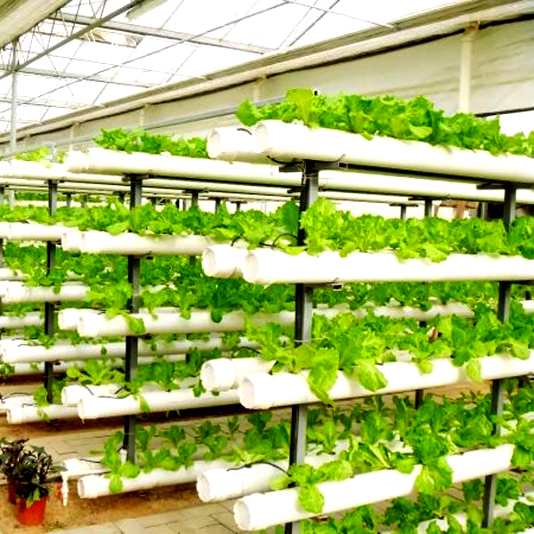 Outdoor Hydroponische Turm-Anb – Hydroponic System Bewertung und Preis