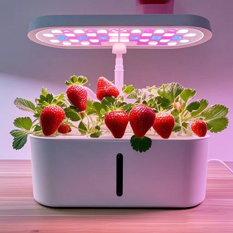 Intelligentes Hydroponisches G – Hydroponic System Bewertung und Preis