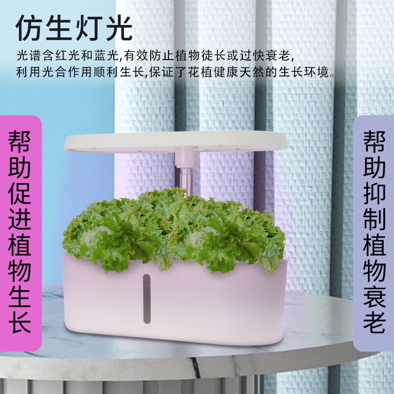 Intelligentes Hydroponisches G – Hydroponic System Bewertung und Preis