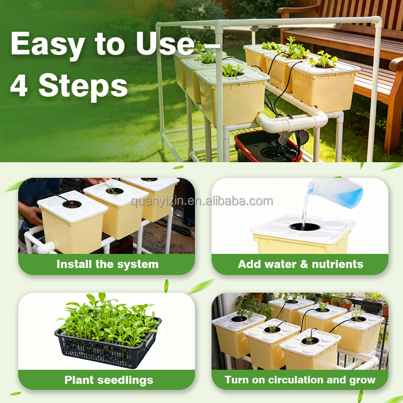 Dutch-Bucket-Hydroponik-System – Hydroponic System Bewertung und Preis