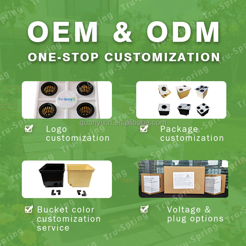 Dutch-Bucket-Hydroponik-System – Hydroponic System Bewertung und Preis