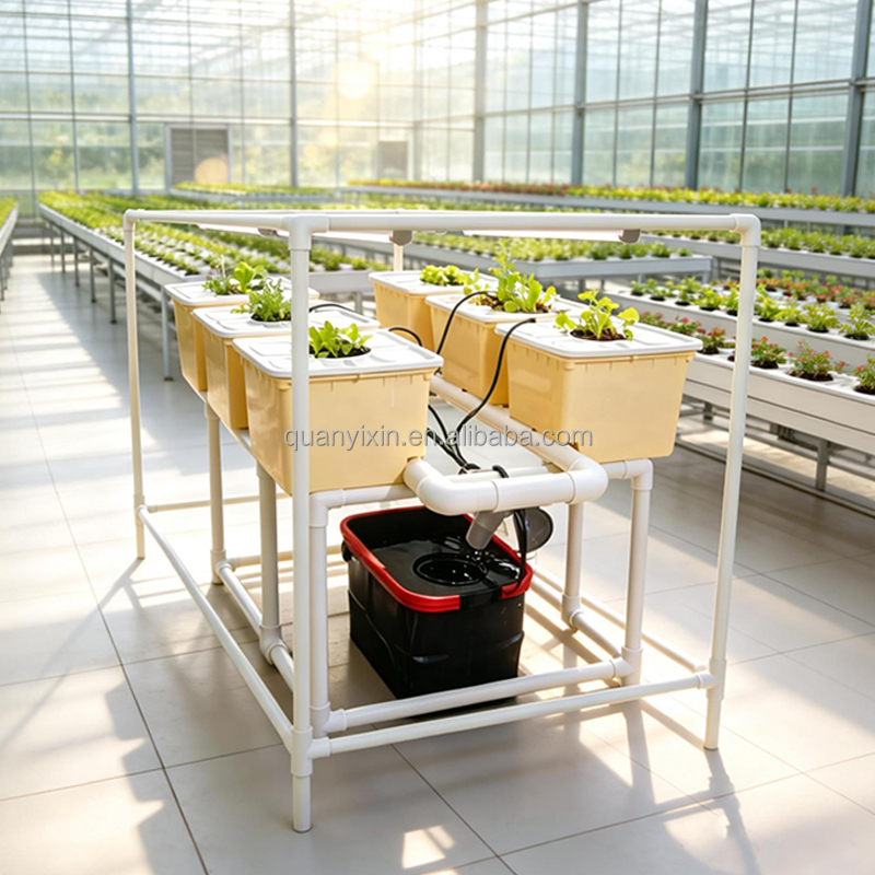 Dutch-Bucket-Hydroponik-System – Hydroponic System Bewertung und Preis