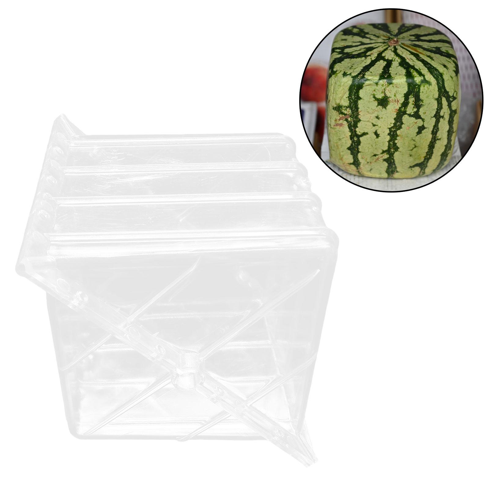 Quadratische Wassermelonen-Wac – Gardening Tools Unique Bewertung und Preis