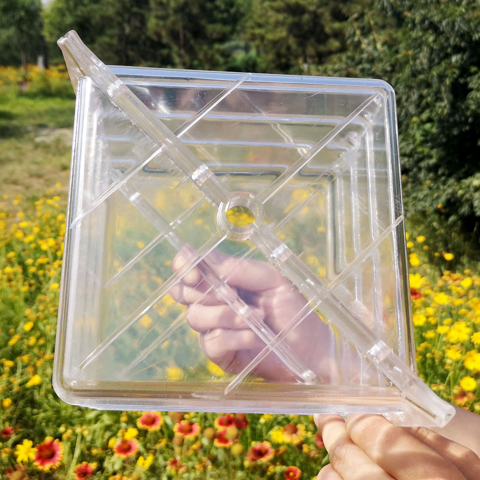 Quadratische Wassermelonen-Wac – Gardening Tools Unique Bewertung und Preis