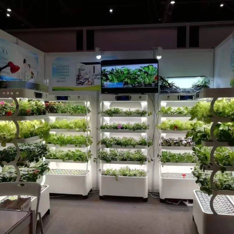 Intelligentes Hydroponisches A – Hydroponic System Bewertung und Preis