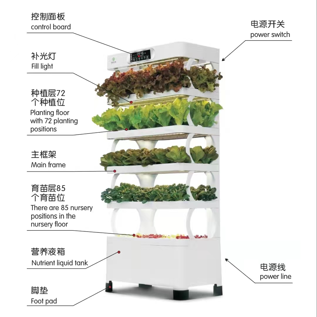 Intelligentes Hydroponisches A – Hydroponic System Bewertung und Preis