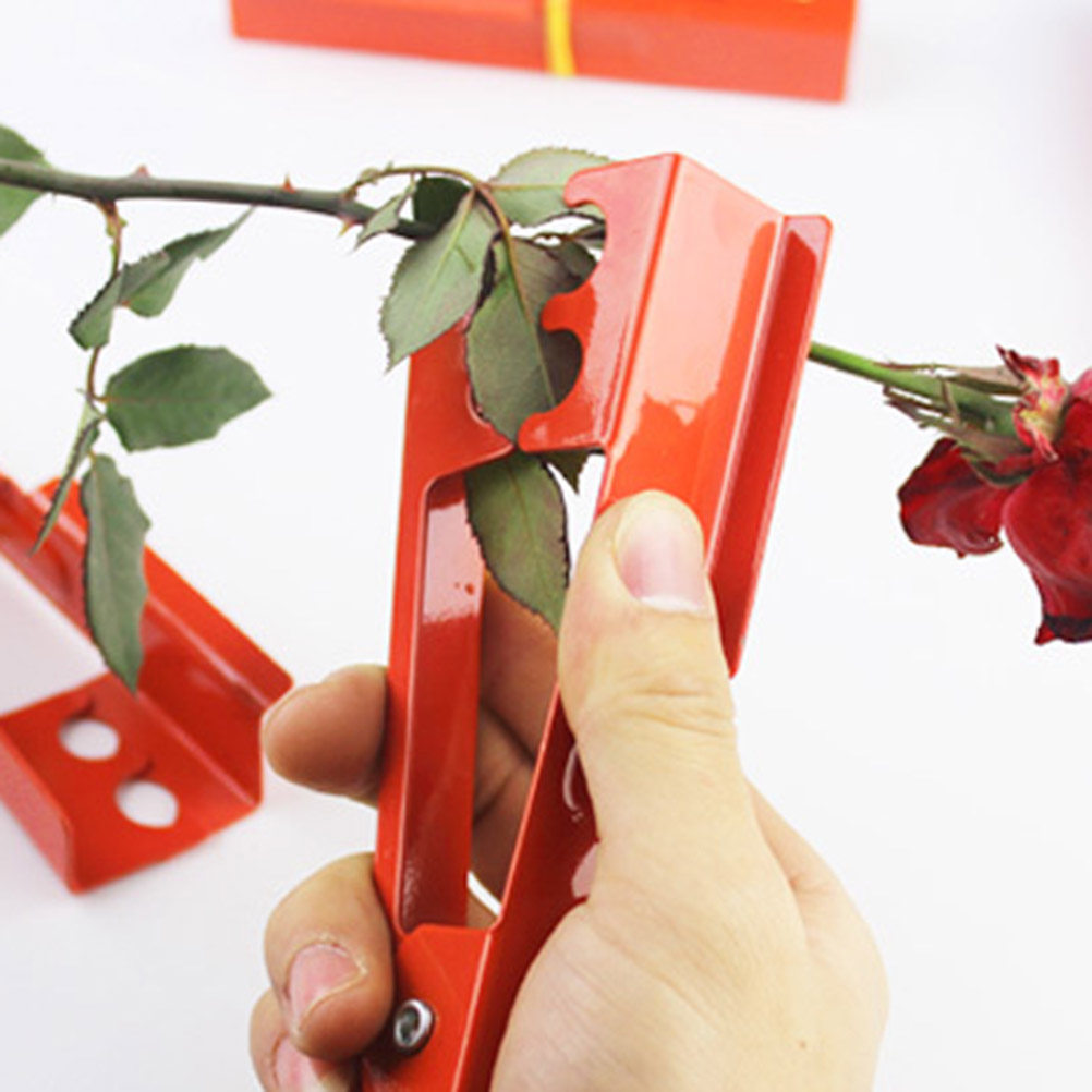 Rosendornzange Einzigartiges D – Gardening Tools Unique Bewertung und Preis
