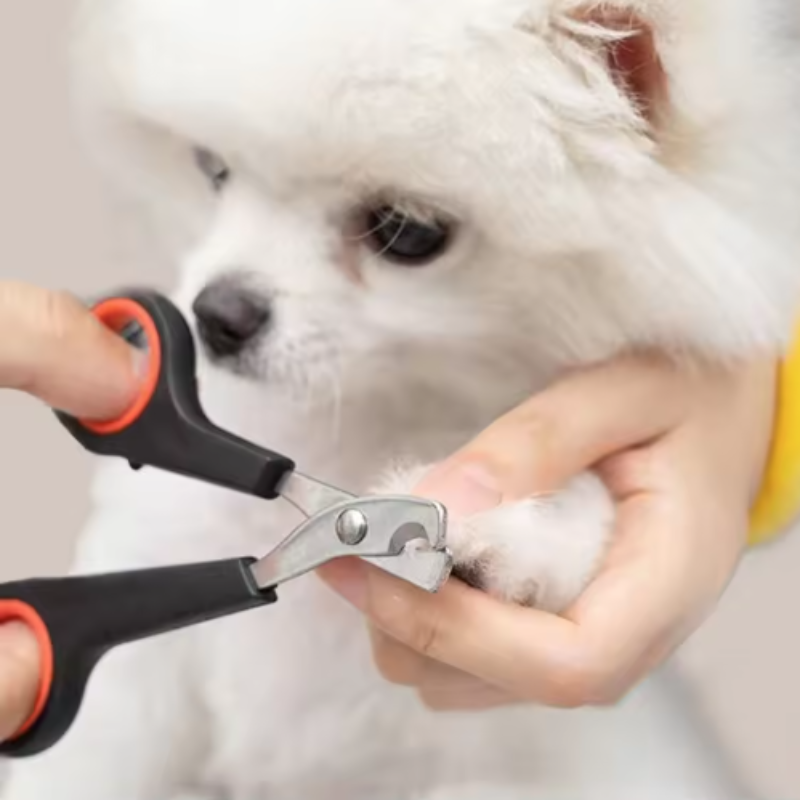 Nagelschere für Haustiere, Hun – Essential Gardening Tools Bewertung und Preis
