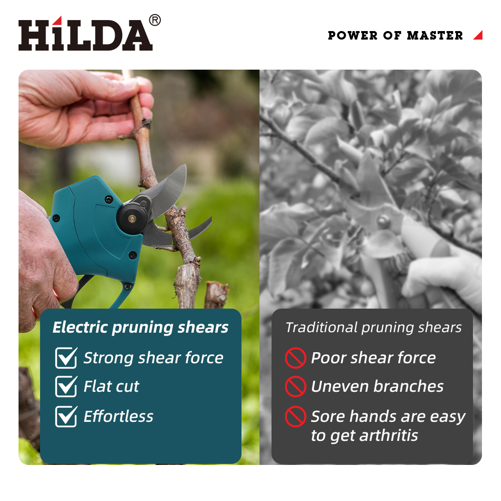 HILDA 18V Bürstenlose Akku-Ele – Essential Gardening Tools Bewertung und Preis