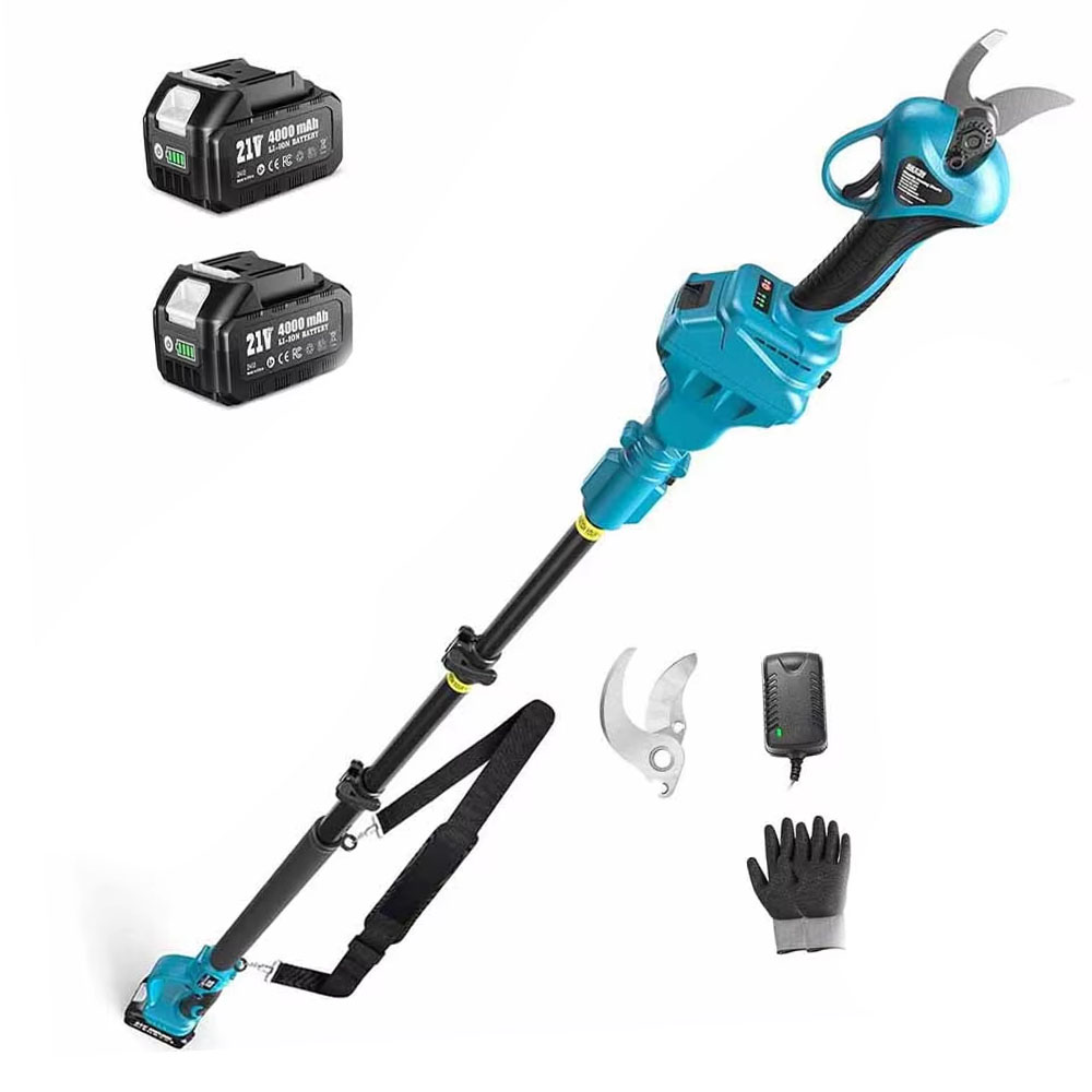 SEESII 2,5m bürstenlose Telesk – Gardening Tools Electric Bewertung und Preis