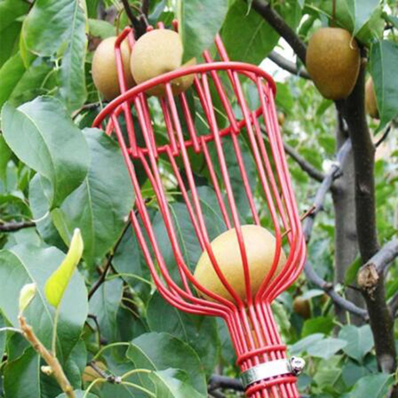 Tiefkorb-Obstpflückerkopf, tra – Gardening Tools Basket Bewertung und Preis