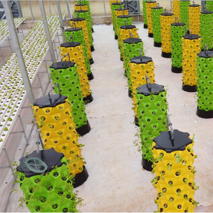 Hochwertiges, einfach zu insta – Hydroponic System Bewertung und Preis
