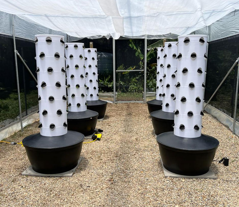 Hochwertiges, einfach zu insta – Hydroponic System Bewertung und Preis