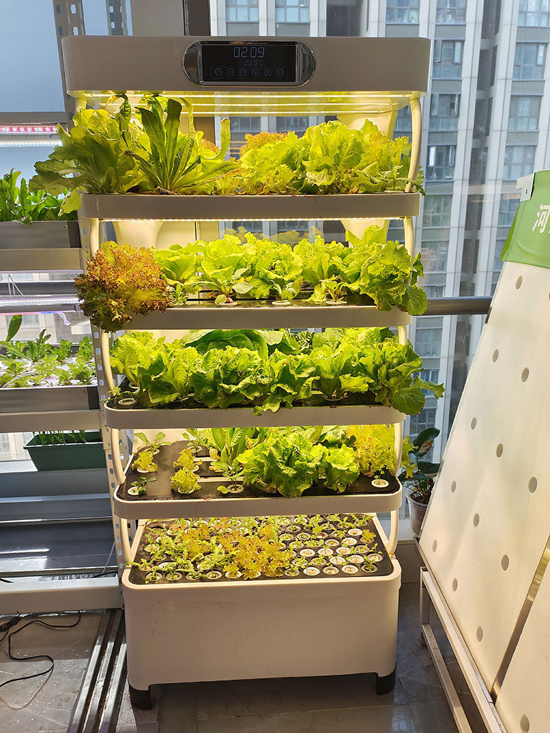 c Landwirtschaftsmaschine zum  – Hydroponic System Bewertung und Preis