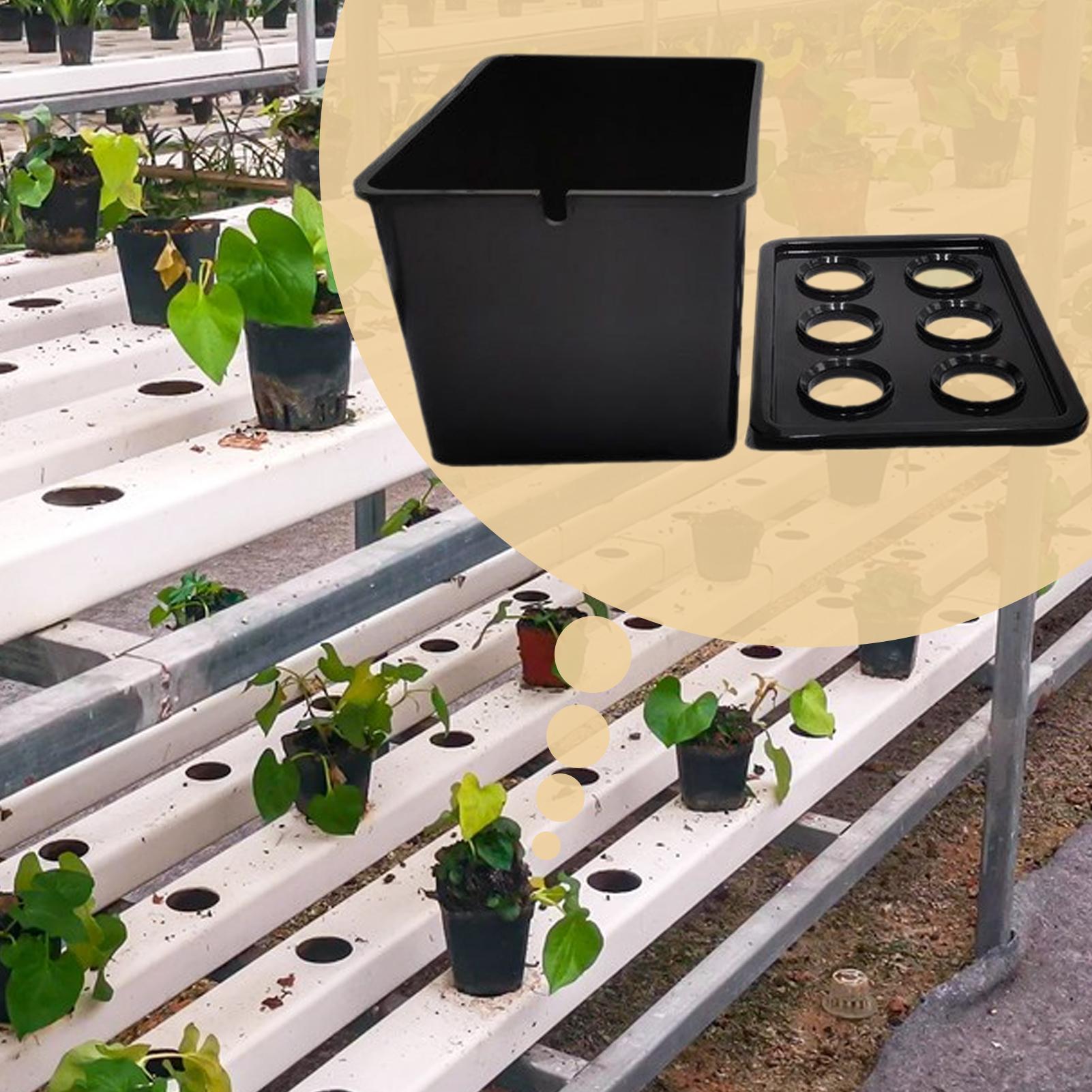 Hydroponisches Pflanzset, anfä – Hydroponic System Bewertung und Preis