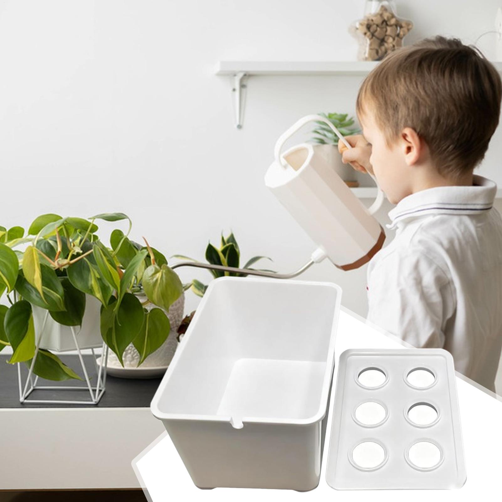 Hydroponisches Pflanzset, anfä – Hydroponic System Bewertung und Preis