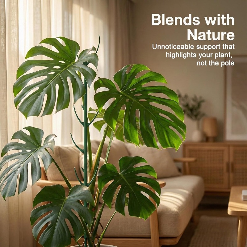 Monstera-Pflanzenstützstäbe, 5 – Gardening Tools Plastic Bewertung und Preis