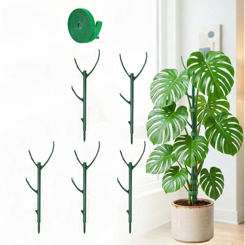 Monstera-Pflanzenstützstäbe, 5 – Gardening Tools Plastic Bewertung und Preis