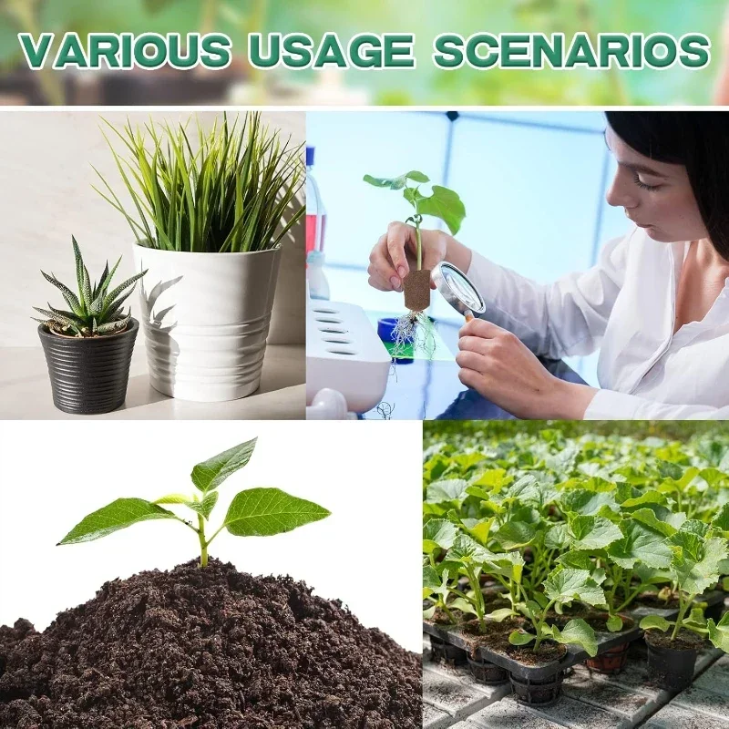Setzling-Starter-Schwamm-Kit f – Hydroponic System Bewertung und Preis