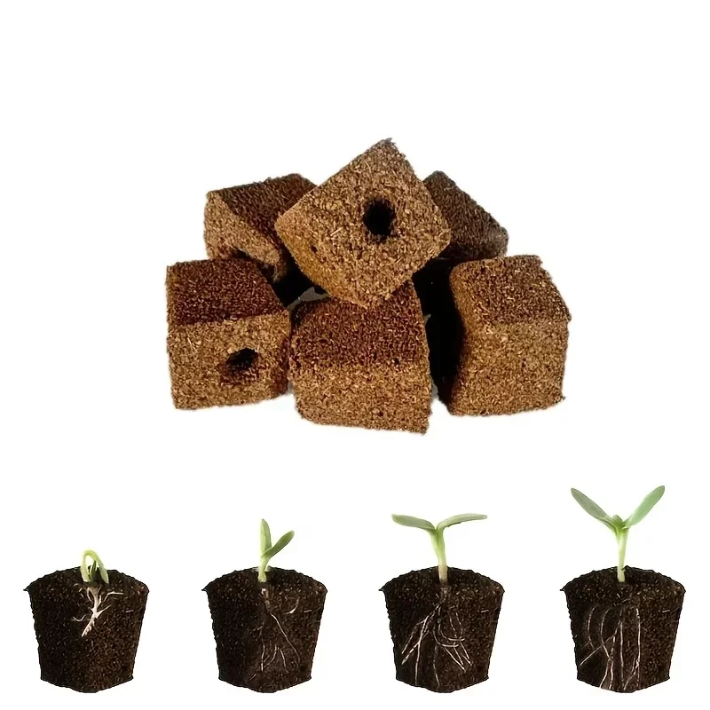 Setzling-Starter-Schwamm-Kit f – Hydroponic System Bewertung und Preis