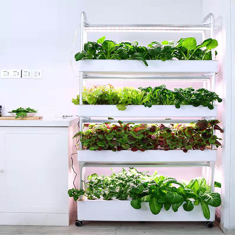 ydroponic Pflanzungssystem Sma – Hydroponic System Bewertung und Preis