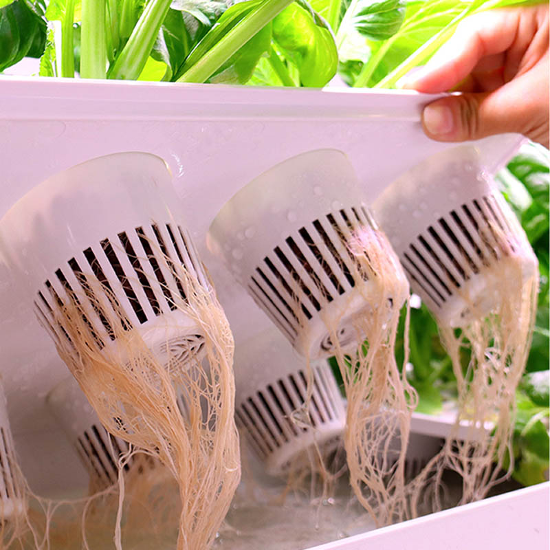 ydroponic Pflanzungssystem Sma – Hydroponic System Bewertung und Preis