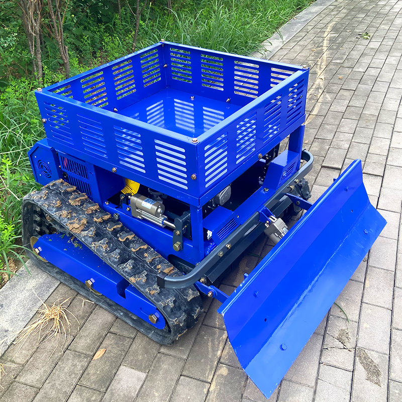 Maßgeschneiderter RC-Rasenmähe – Essential Gardening Tools Bewertung und Preis