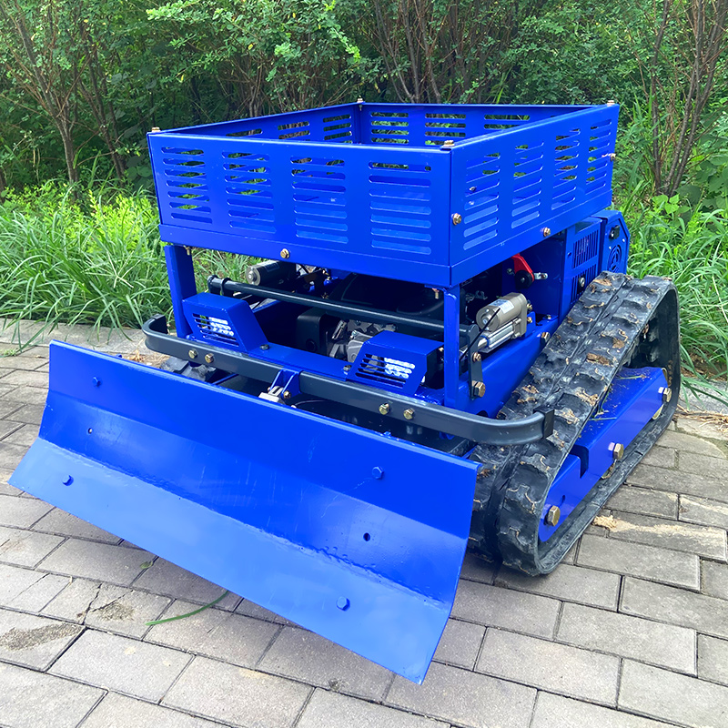 Maßgeschneiderter RC-Rasenmähe – Essential Gardening Tools Bewertung und Preis