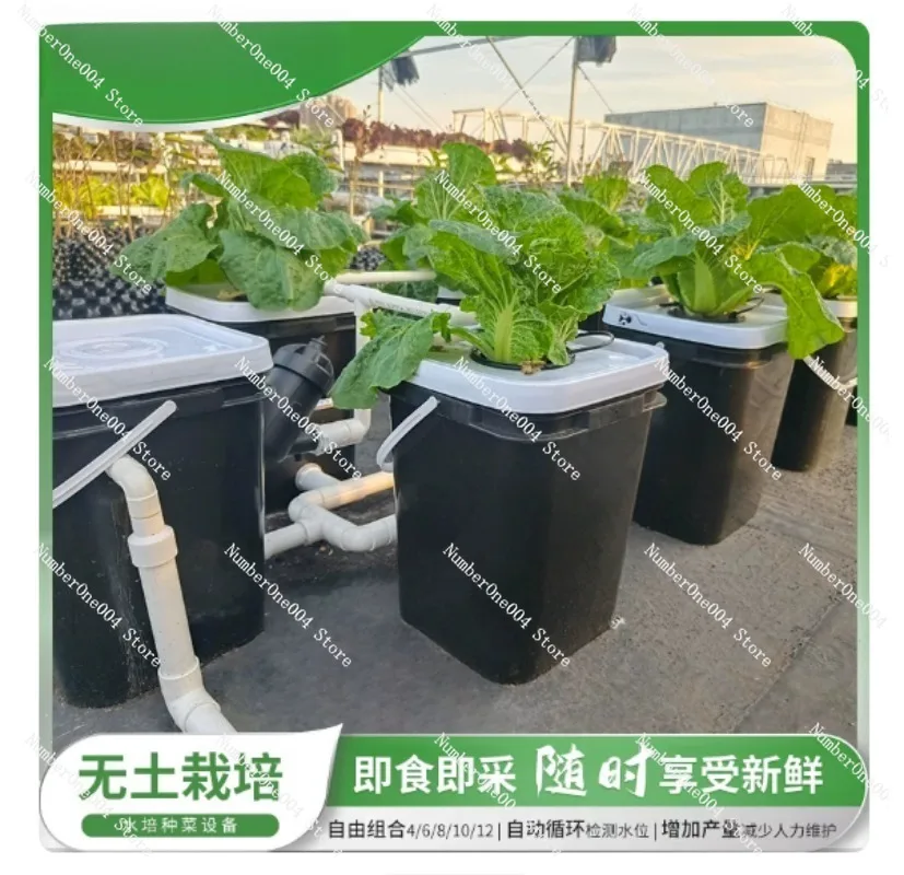 RDWC Heim-Balkon Hydroponik-An – Hydroponic System Bewertung und Preis