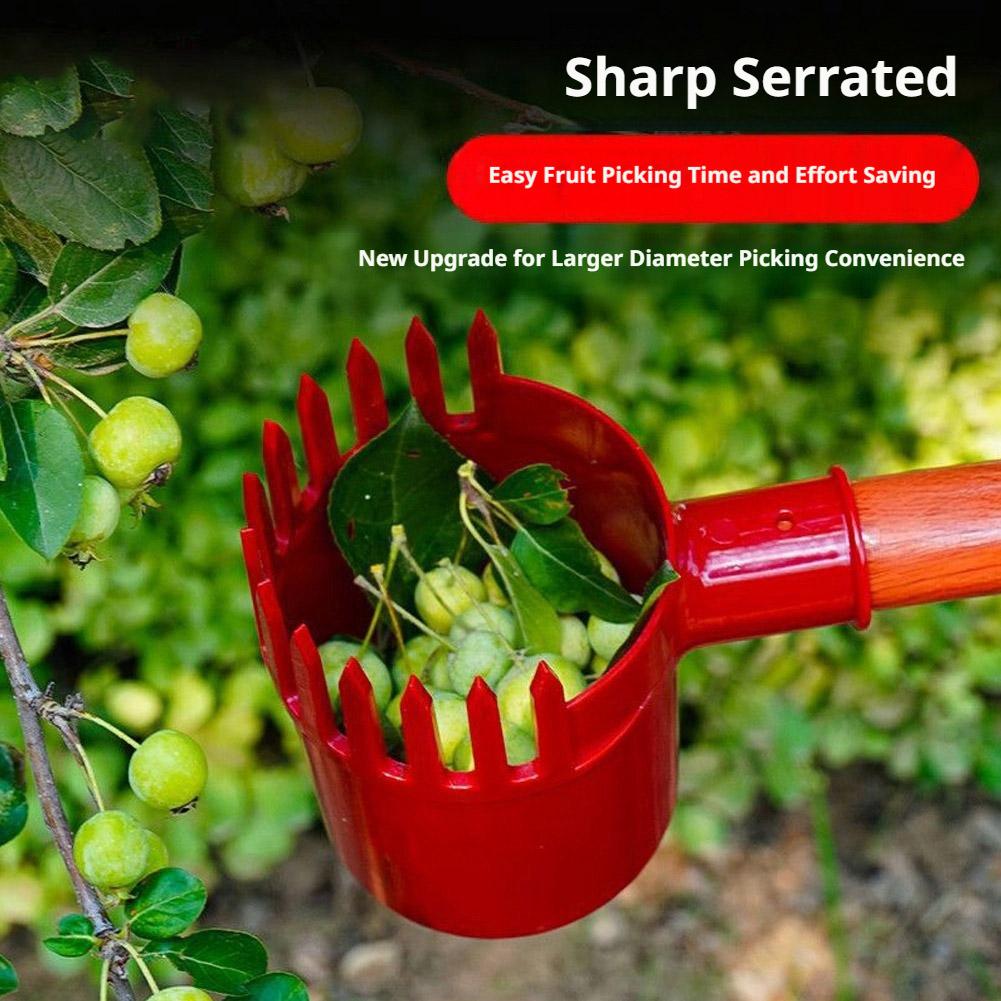 Obstpflücker-Werkzeug: Tragbar – Gardening Tools Basket Bewertung und Preis