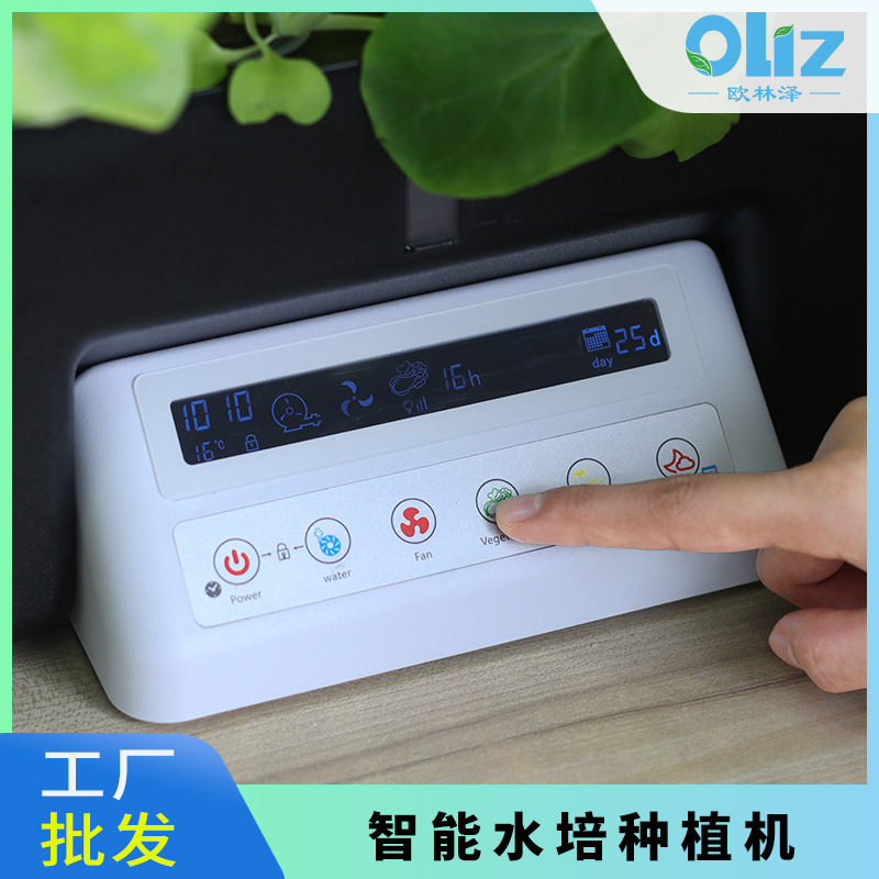 Multifunktionales Pflanzsystem – Hydroponic System Bewertung und Preis