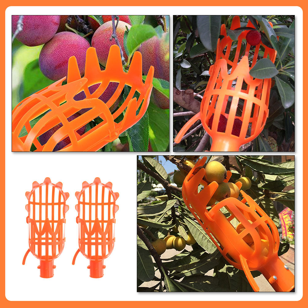 2 Stück Obstkorb aus Kunststof – Gardening Tools Basket Bewertung und Preis