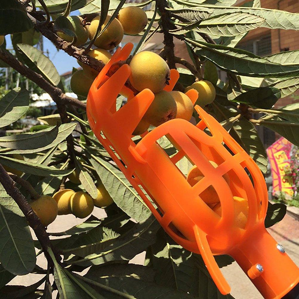 2 Stück Obstkorb aus Kunststof – Gardening Tools Basket Bewertung und Preis