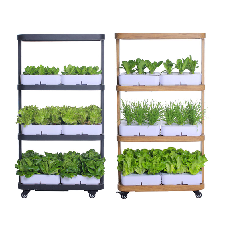72 Löcher, 6 Pflanzkisten, LED – Hydroponic System Bewertung und Preis