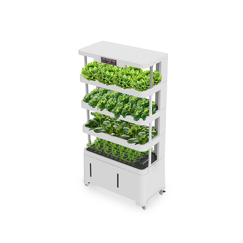 Hochmoderne Intelligente Hydro – Hydroponic System Bewertung und Preis