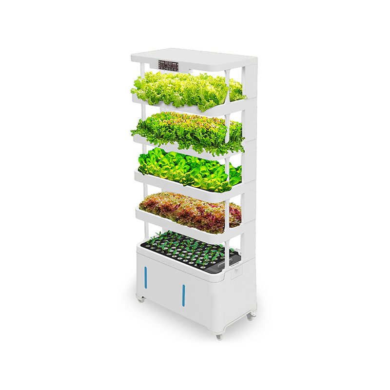 Hochmoderne Intelligente Hydro – Hydroponic System Bewertung und Preis
