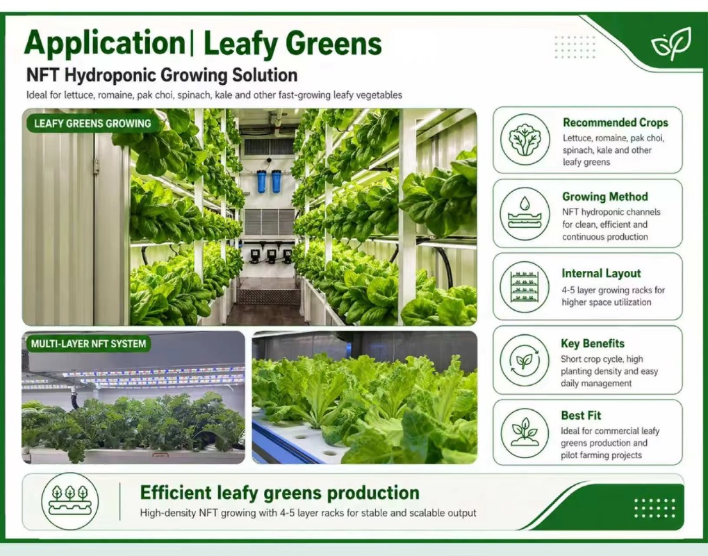 Großes Smart Farm Versandconta – Hydroponic System Bewertung und Preis
